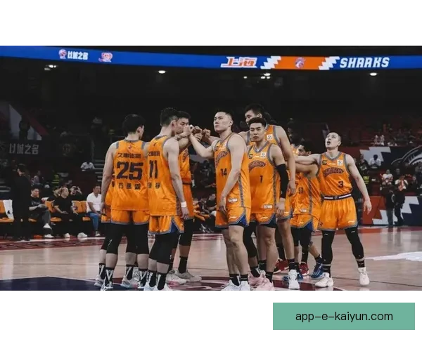 上海男篮力克北京队，古德温24分领衔，怀特塞德贡献两双数据